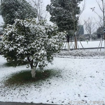 马上又要过年