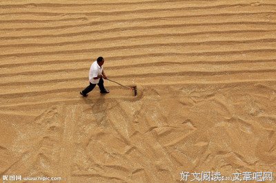 一场夏收过后