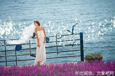 相遇也是一种可以慰心的灵犀