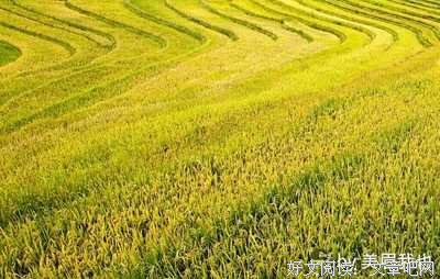 每当秋风过后