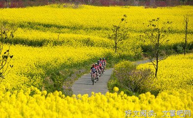 带着孩子出门旅游
