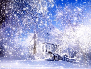 认真的雪