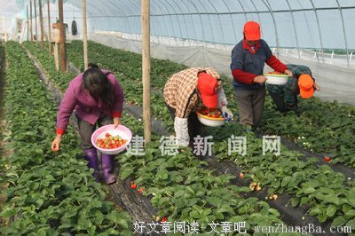 远方的信（八）――哥哥请为父母想想