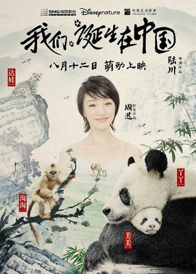 我们的我们