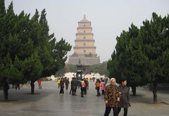 登大雁塔