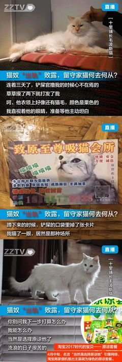 骗得了自己却骗不了感觉