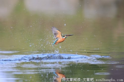 想和你在山水间呼吸