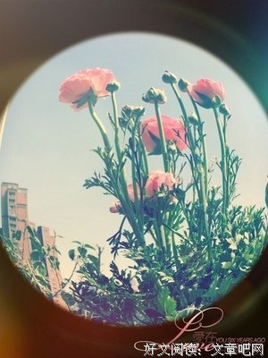 有花的日子