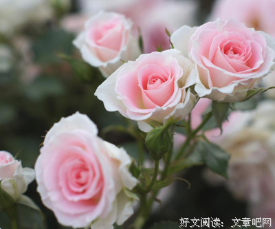 坚定走下去