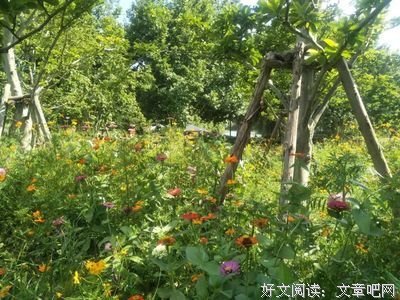 简单幸福很知足