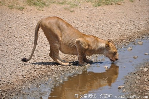 与军训共清欢