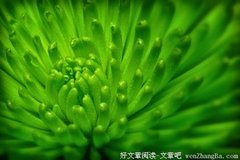 轻阅读：论读书的文化之道