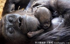 你平庸吗，那就对了