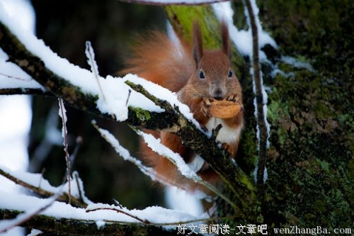 社会经历、不看你亏大了
