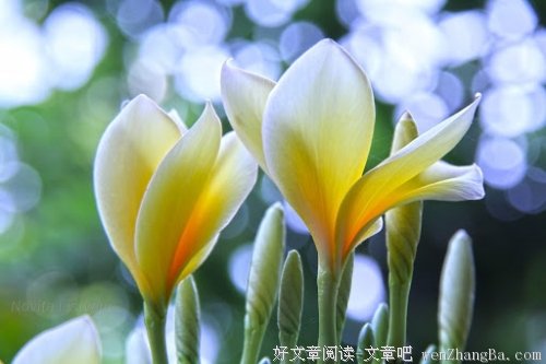 做一个让人欣赏的女人