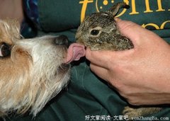 男人的4个花心期