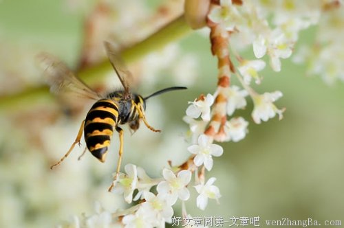 人与人，写的真好