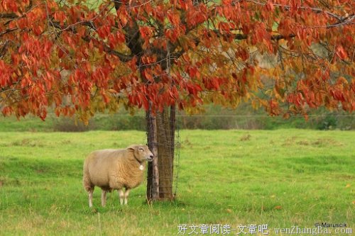 做人的方法