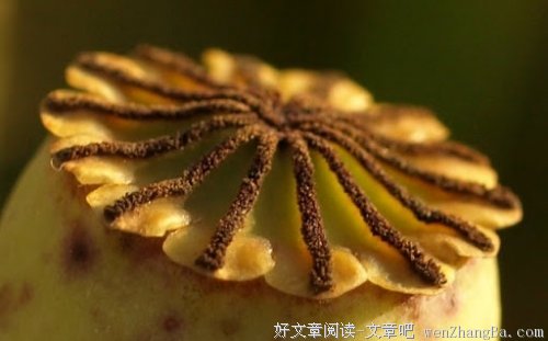 优雅女人三做三不做