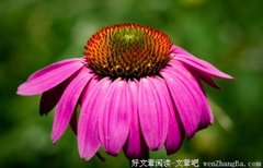 愿得一人，从友情到爱情，从爱情到亲情