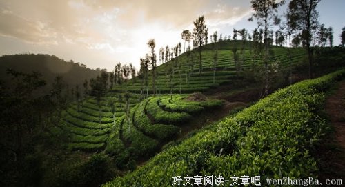 爱情是一种习惯！十二星座爱你时的不同习惯