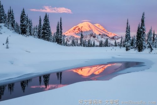 老板，我要是萌哒，可你这造的啥