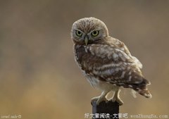 人生，我们十全九美