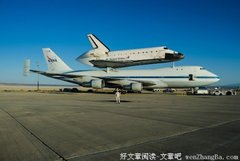 爱情怎么可以高尚