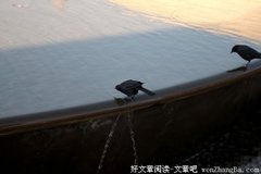人与人，写的真好，必须要转！