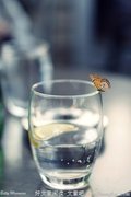 喜看神农尝野草