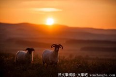 这样女人不好找！