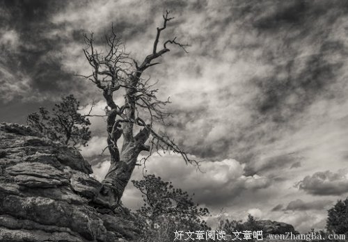 什么叫高层女人，好好学学。
