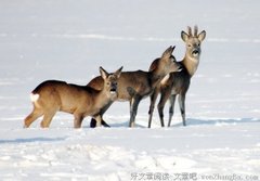这个女人说了九句话，亿万人疯转！！