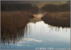 十个男人看了，九个男人成为富人