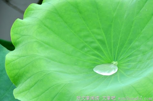 一个男人最高的品味