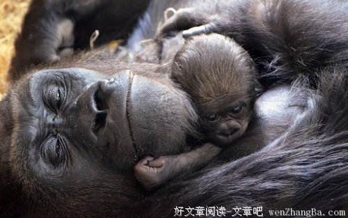 想你的感觉真好