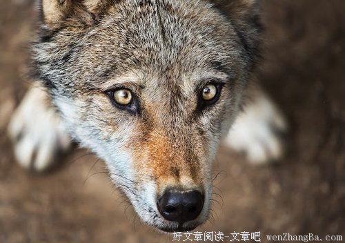 女人一生千万不要做的几件事