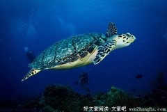 女人在什么时候不能碰男人？