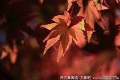 妻子恭敬丈夫，积功累德，丈夫恭敬妻子，积累财富