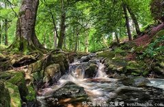 三味中药泡水喝，58岁变28岁！