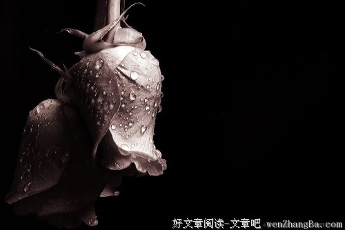 人生大总结！真经典