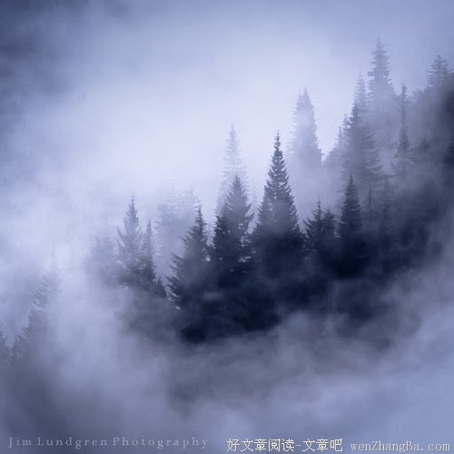 你向人借过钱吗！