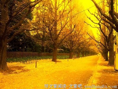 十种鲜花十种爱