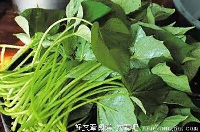 男女床上对话...好脏，好现实................