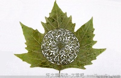 神奇的速算法