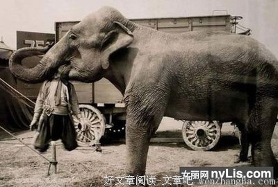 中外古代死刑大全