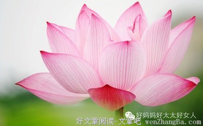两千成语，头尾接龙！赶紧存起来吧！ 很有用!