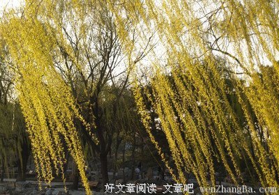 中国文字如此妙趣横生？10个误以为是错别字的“字”