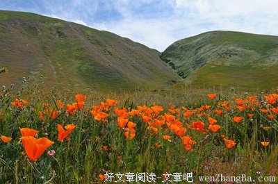 中国老话，很受用