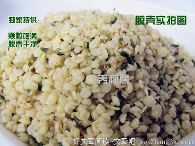 六位百岁老人的排毒养生方